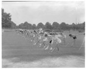 Majorettes at East Carolina College 